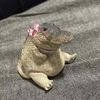 rose_lady_39