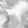 user900806255