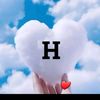 hanini441329