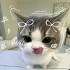 .kei_shvx