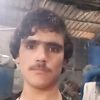user2015280533336zgb