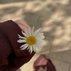 noor_dar1088