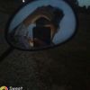 lvchy2