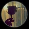 roselaver556