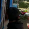 duy.boxing2