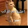.ads34