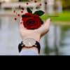 hasan.husain769