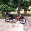 apissssss_27