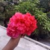 user4832361137694