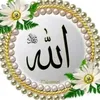 Daniyalali_11