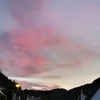 random_user1218