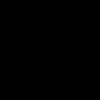_tyr02