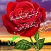 user87613377314876
