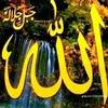 user2158617875862