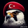 user6102516187023
