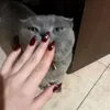 o2___.e