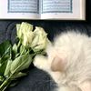 n.o.u.r.quran