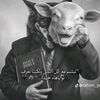 chrif.hadjba
