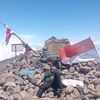 si_oji3710