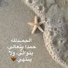insaf8827