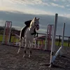 equestrian._.hailey