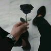user2228205266742