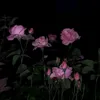 yasm1na_47