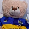 abi_bostera2