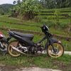 anrian.sptr