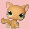 catitripleaaa