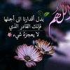 yunus.alwrgy