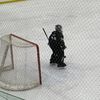 insane_goaltending