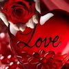 rashe.da4