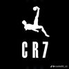 devilin2147