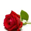 user5123283311274
