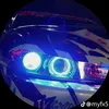 nhindellgi_ha