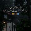 user137567505