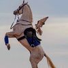 nasr_501n