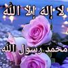 user8156112682954