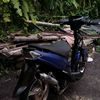 ajikwayan6
