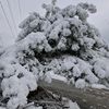 user4061730832081