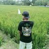 starssz_vanoo4