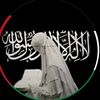 hayam0165
