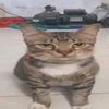 IC:Levram_Johnstone