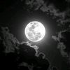 arman.abdalla1