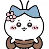 kitty_25424