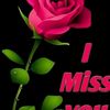 iqbal.hossain9474