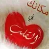 user49052373706331