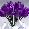 fatama_h1