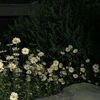 rgg_93